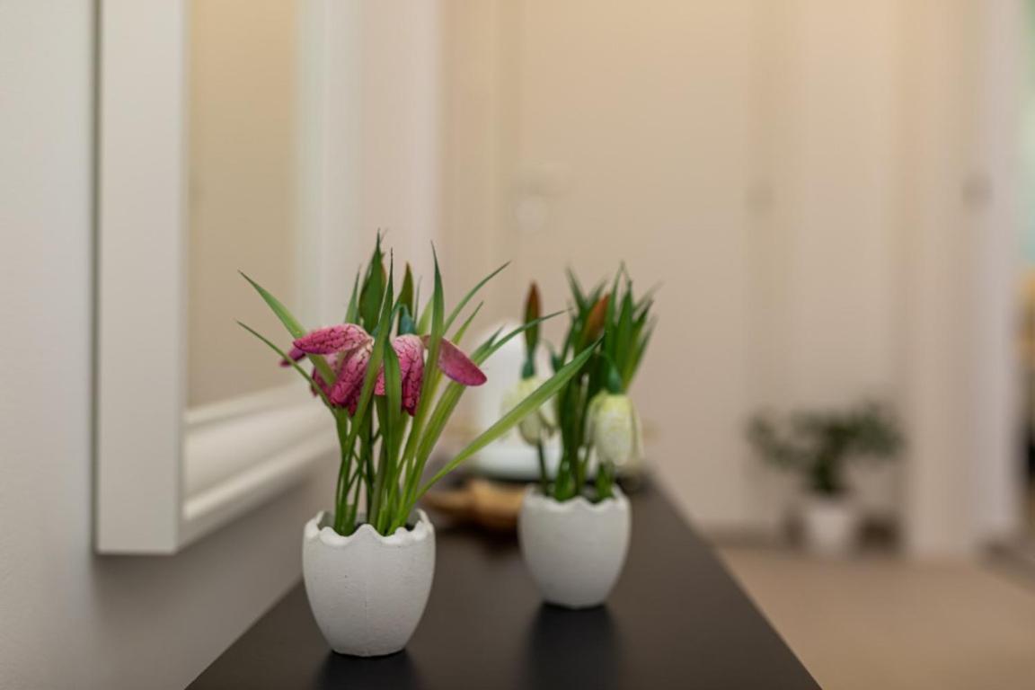 Apartman Grzetic Сило Экстерьер фото